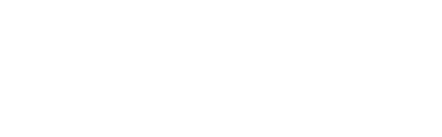 Vivotek