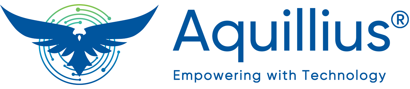 Aquillius Security Solutions - Advanced Security & Automation Systems